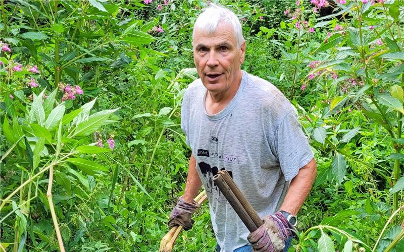 Albrecht Früh war beim diesjährigen Arbeitseinsatz gegen das Springkraut am Kochhartgraben in Reusten mit dabei. GB-Foto: gb