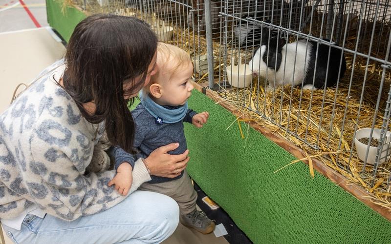 An den Tierkäfigen hatten die kleinen Besucher so einiges zum Entdecken und Bestaunen. GB-Foto: Schmidt