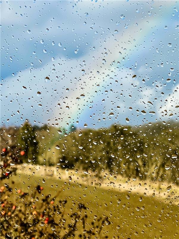 Auf Regen folgt Sonnenschein.  Von Ingrid Andor aus Gäufelden.