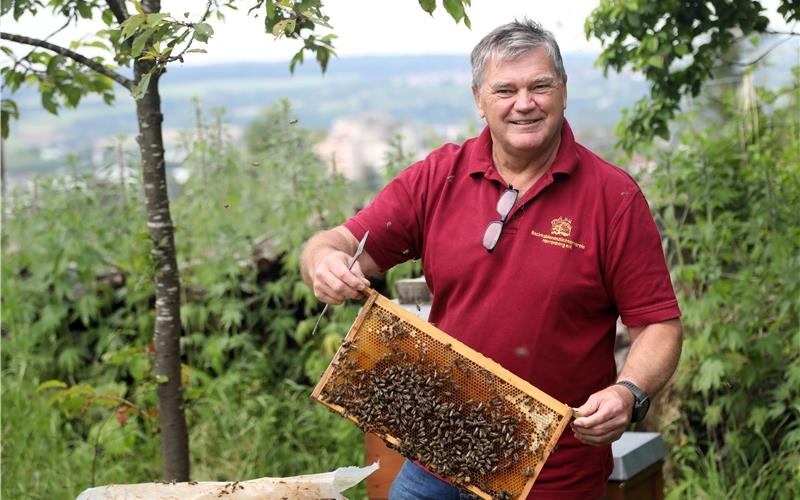 Bienen sind die große Leidenschaft von Herbert Czernotzky. GB-Foto: Priestersbach