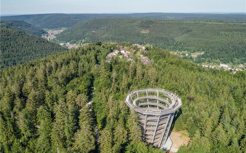 Den Schwarzwald Von Oben Ganz Neu Erleben