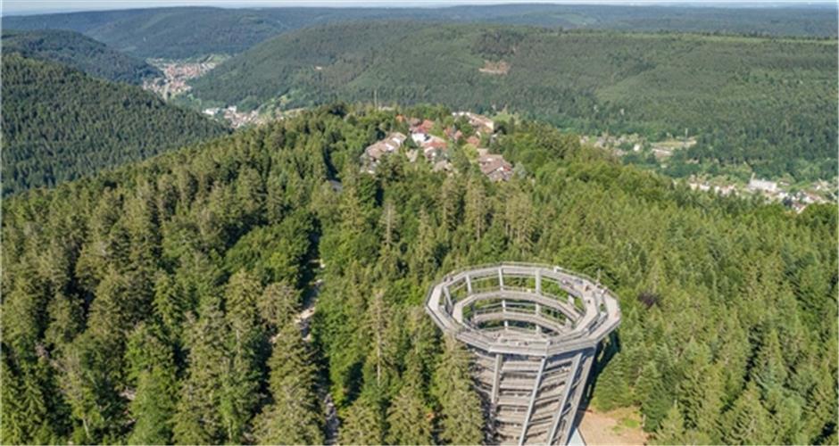 Bietet in allen Zeiten einen imposanten Überblick über den Schwarzwald: Der Baumwipfelpfad GB-Foto: gb