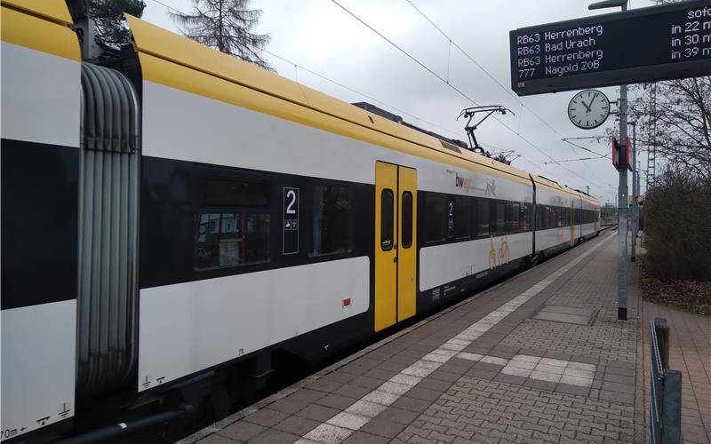 OB Palmer: IRE-Züge sollen Zugverkehr auf der Ammertalbahn ermöglichen