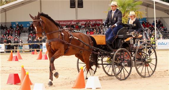 Der Pony-Hannes bekommt das „Goldene“