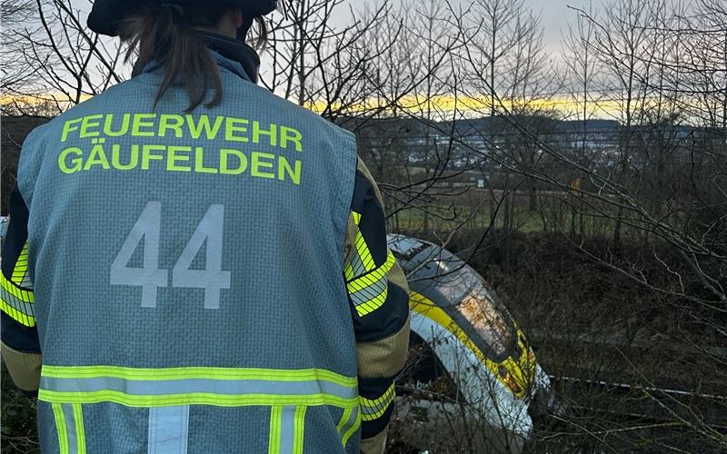 Bahn liegt zeitweise lahm wegen eines Wildunfalls