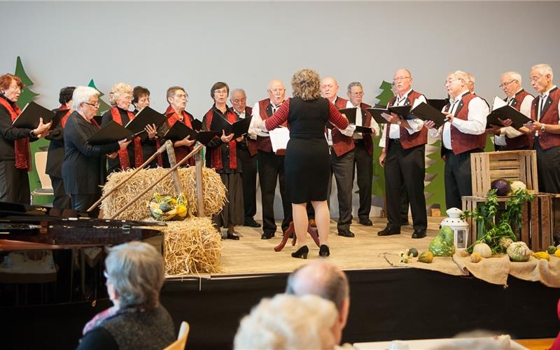 Chorauftritte sind selten geworden: Die Aufnahme aus dem Jahr 2017, als der Liederkranz Hildrizhausen seinen 85. Geburtstag feierte.GB-Foto (Archiv): Schmidt
