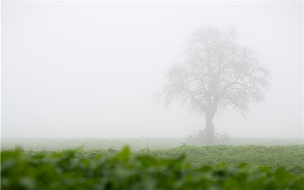 Das richtige Wetter, um auf dem Sofa zu bleiben (gesehen bei Gärtringen)GB-Foto: Vecsey