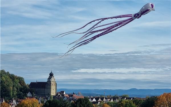 Dem Himmel entgegen (fotografiert von Andrea Buck in Affstätt)