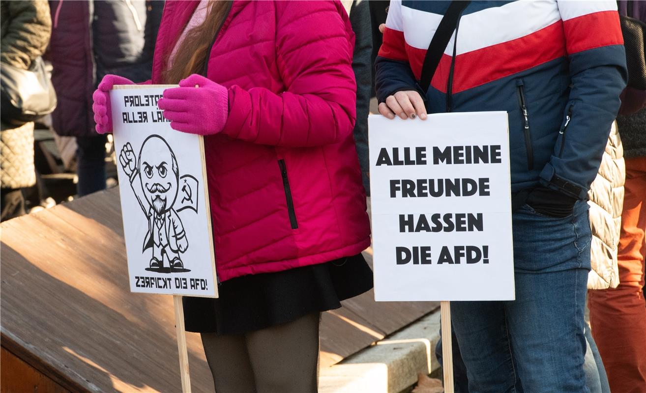 Demo "Hbg gegen Rechts" Herrenberg - Anti AFD Demonstration -  1 / 2025 Foto: Sc...