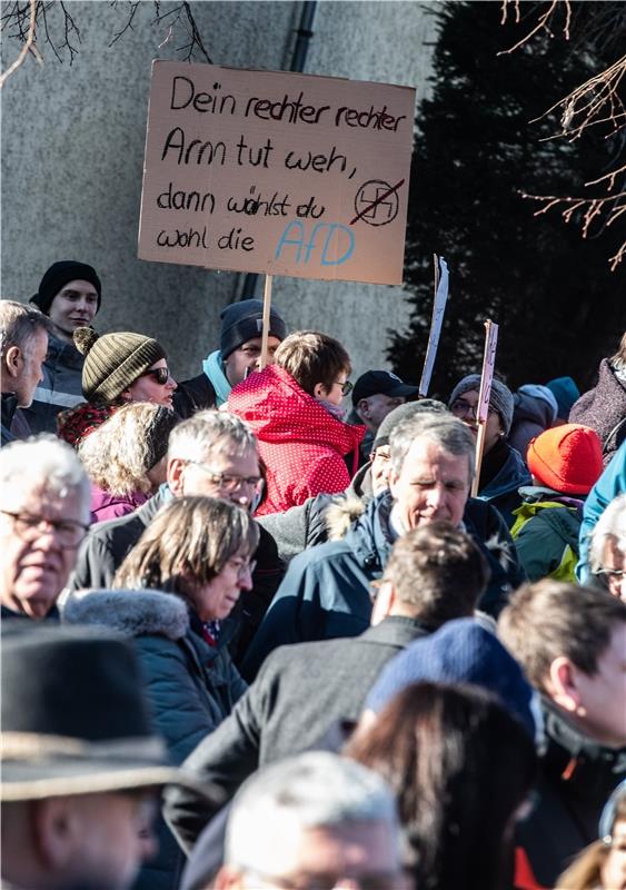 Demo "Hbg gegen Rechts" Herrenberg - Anti AFD Demonstration -  1 / 2025 Foto: Sc...