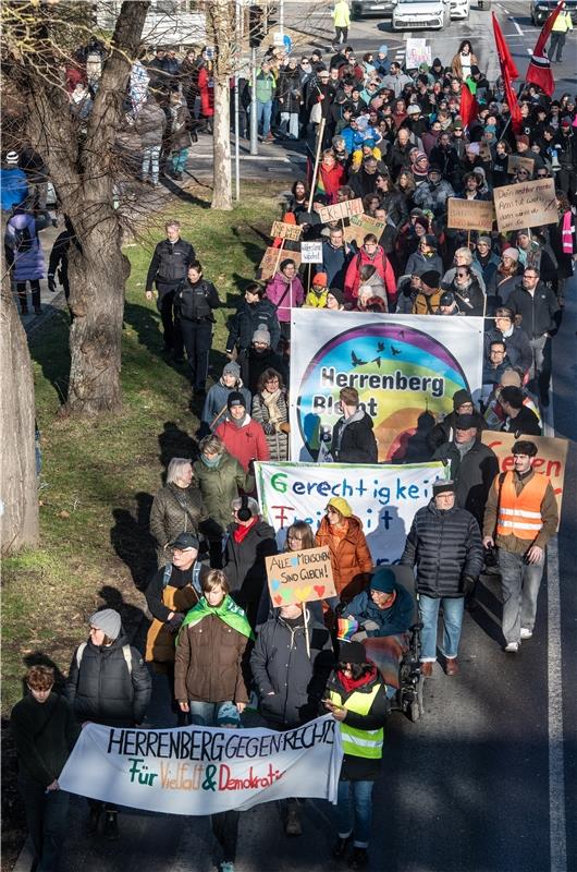 Demo "Hbg gegen Rechts" Herrenberg - Anti AFD Demonstration -  1 / 2025 Foto: Sc...