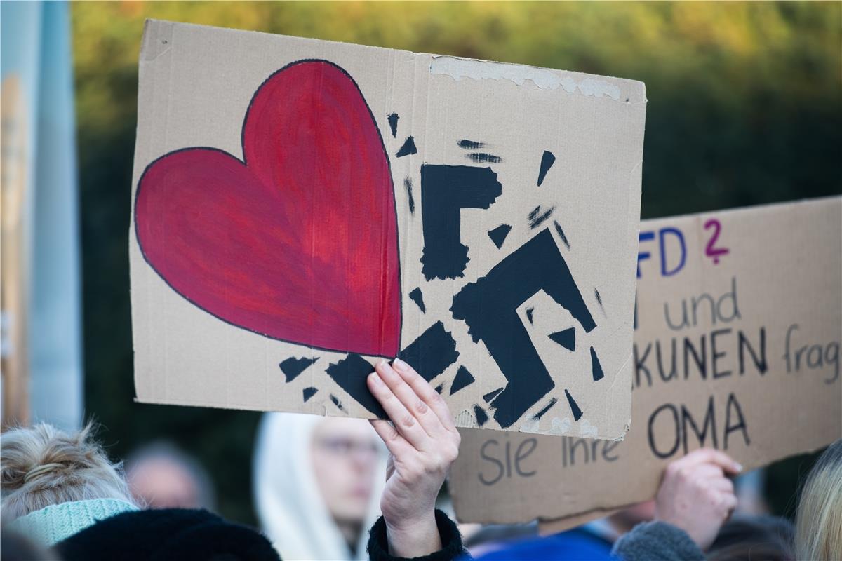 Demo "Hbg gegen Rechts" Herrenberg - Anti AFD Demonstration -  1 / 2025 Foto: Sc...