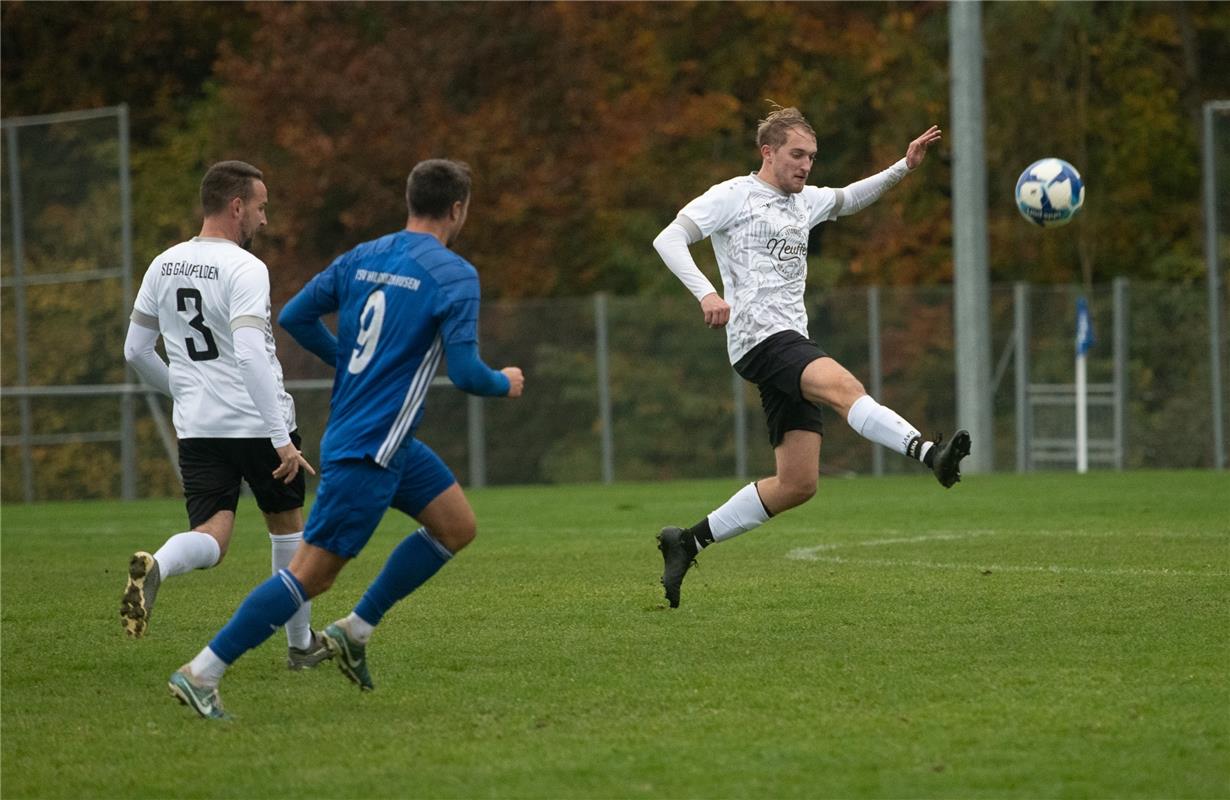 Dennis Reichardt SG Gäufelden - TSV Hildrizhausen 11 / 2024 Foto: Schmidt