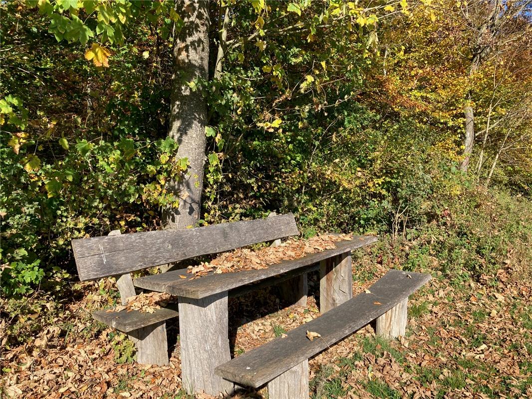 Der Herbst hat den Tisch gedeckt.  Von Hubertus Kühner aus Herrenberg.