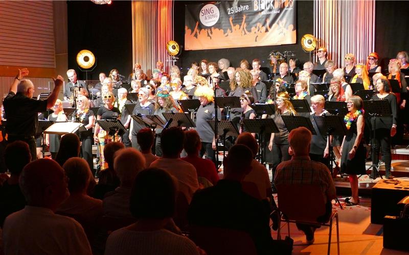Die Blackbirds bei ihrem Jubiläumskonzert in der August-Leucht-Halle.GB-Foto: Stadler