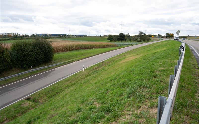 Die Gemeinde lehnt Freiflächen-PV-Anlagen auf dem Gebiet BB-PV-02 zwischen der Bahnlinie und der L 1184 nach Ergenzingen ab.GB-Foto: Vecsey