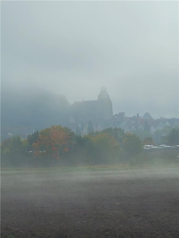 Die Glucke im Nebel am Morgen des 6. Oktober.  Von Eva Althoff-Nüßle aus Herrenb...