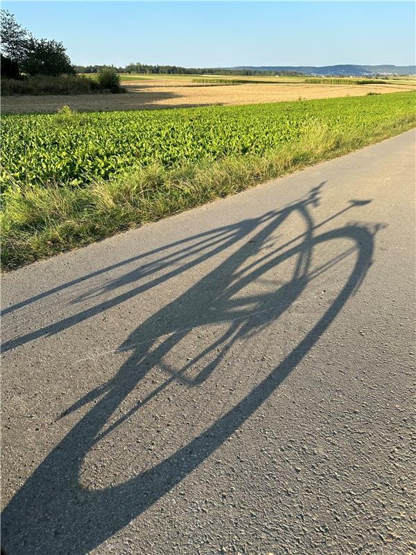 Die Nächte und die Schatten werden länger. Von Anja Schnotz aus Öschelbronn.