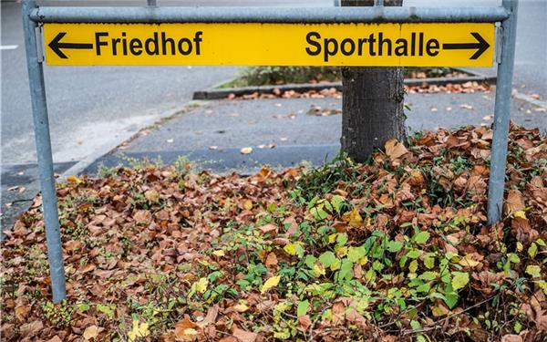 Die Qual der Wahl (gesehen in Haslach) GB-Foto: Schmidt