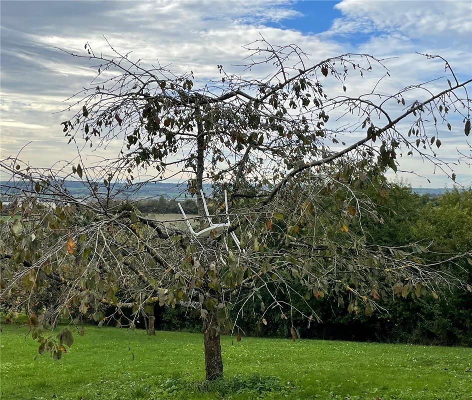 Die neue Obstbaumsorte.  Von Ulrike Hätinger aus Herrenberg.