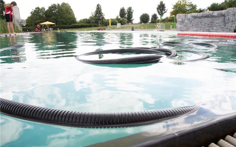 Ein Fehler bei der Reinigung sorgte für das Bakterienaufkommen im Naturfreibad GB-Foto (Archiv): Vecsey