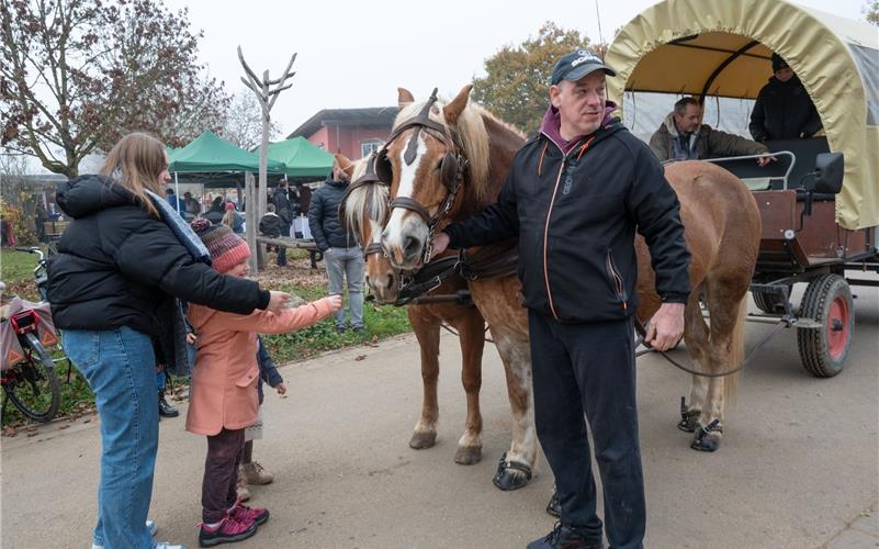 Eine Runde in der Kutsche im Schlepptau der Haflinger Norian und Bonny ließen sich viele Besucher nicht nehmen. GB-Foto: Vecsey