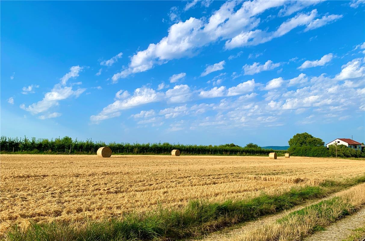 Ernte vorbei – ein Zeichen für den fortgeschrittenen Sommer.  Von Minja Rollinso...