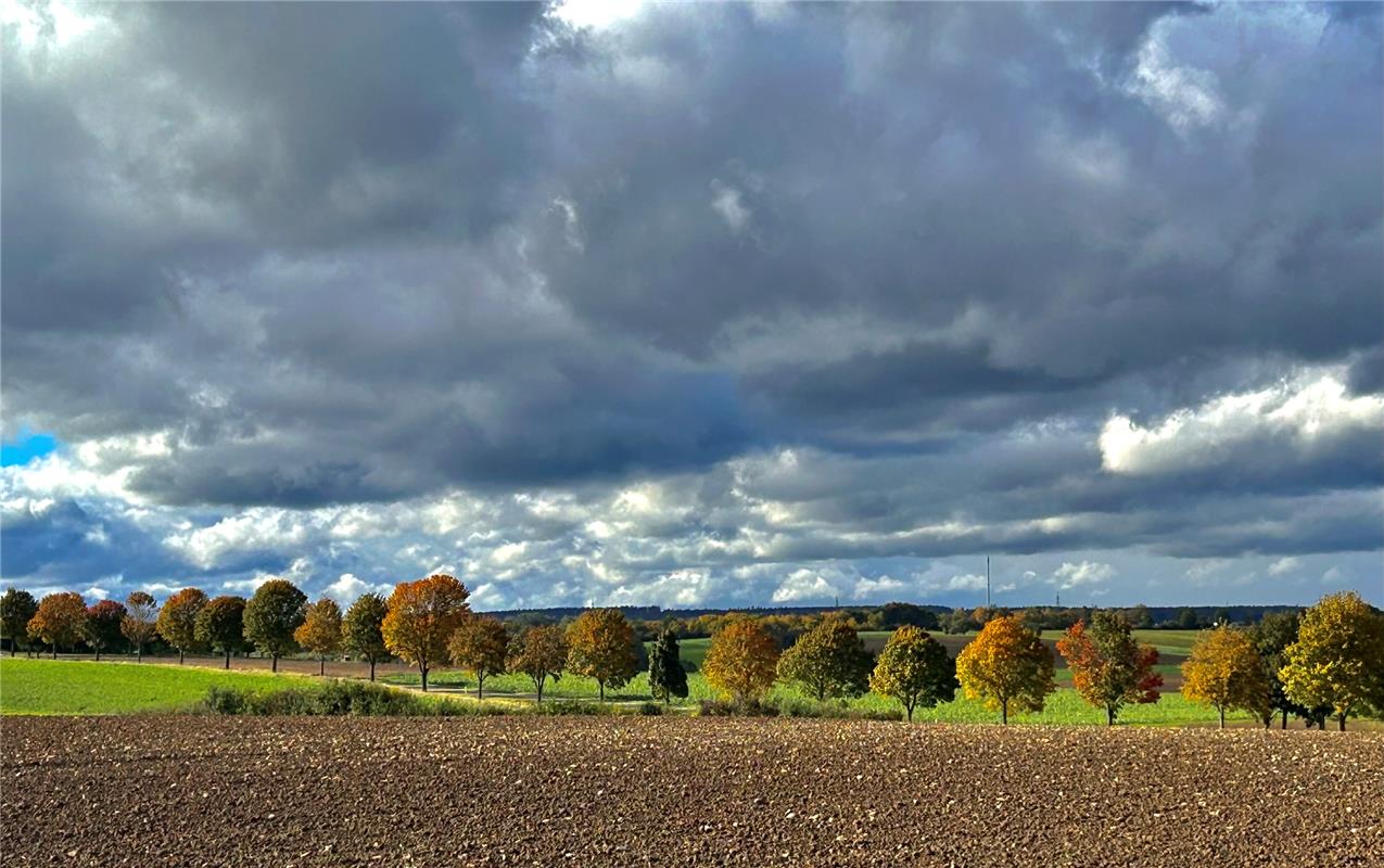 Erschienen Immer noch dunkle Wolken, immer noch kein goldener Oktober.  Von Eckb...