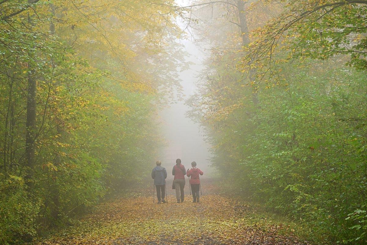 Erschienen Sonntagsspaziergang beim Waldfriedhof in herbstlicher Landschaft.  Vo...