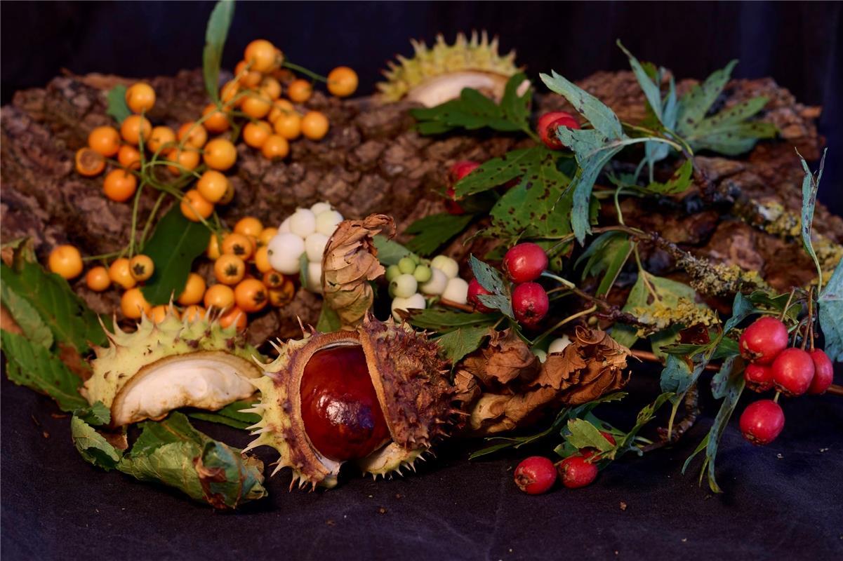 Früchte des Herbsts. Von Anne Biedermann aus Herrenberg.