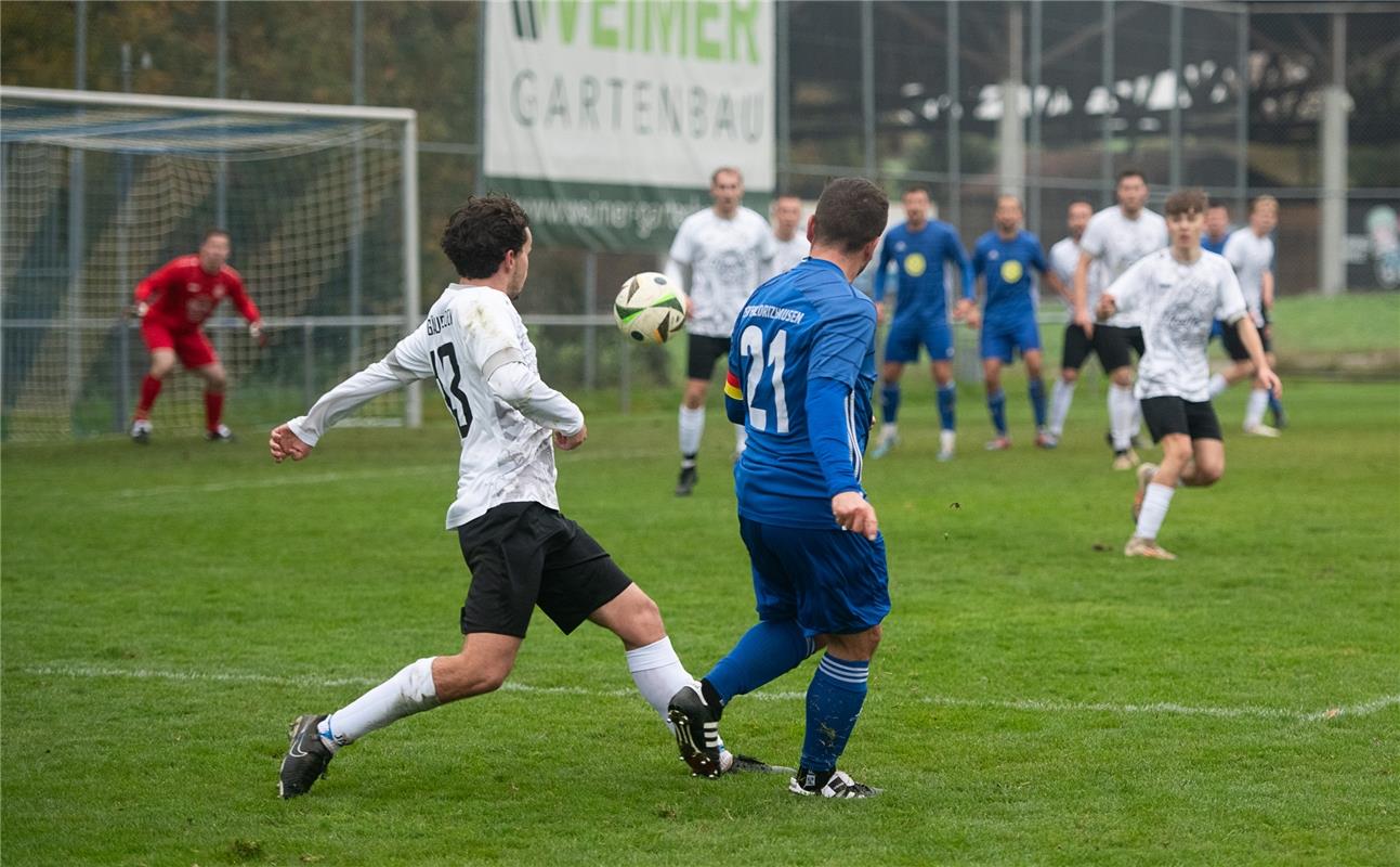 Gäufelden - TSV Hildrizhausen 11 / 2024 Foto:  Schmidt