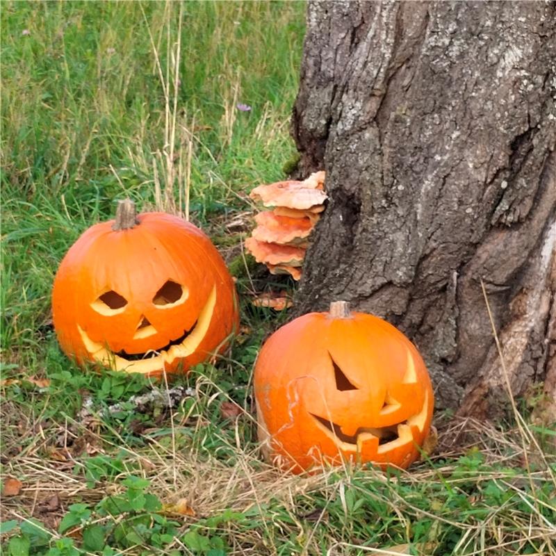 Halloween Dekoration auf der Wiese im Roten Meer Herrenberg. Von Willi Borkhardt...