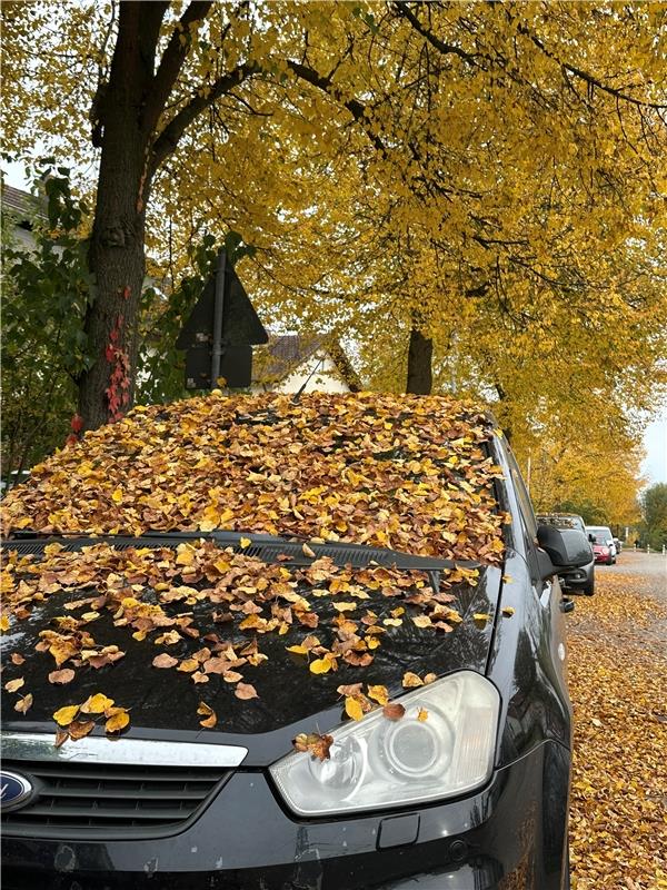 Herbst. Von Anja Schnotz aus Gäufelden.