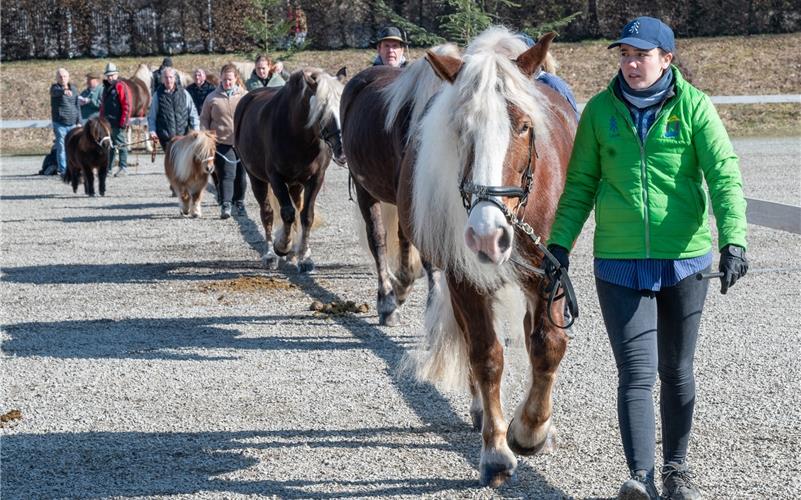 Pferdemarkt, Umzug, Krämermarkt, Kneipenfasching: Bilder vom Fasnetsdienstag in Herrenberg