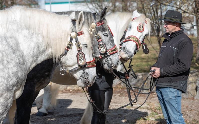 Pferdemarkt, Umzug, Krämermarkt, Kneipenfasching: Bilder vom Fasnetsdienstag in Herrenberg