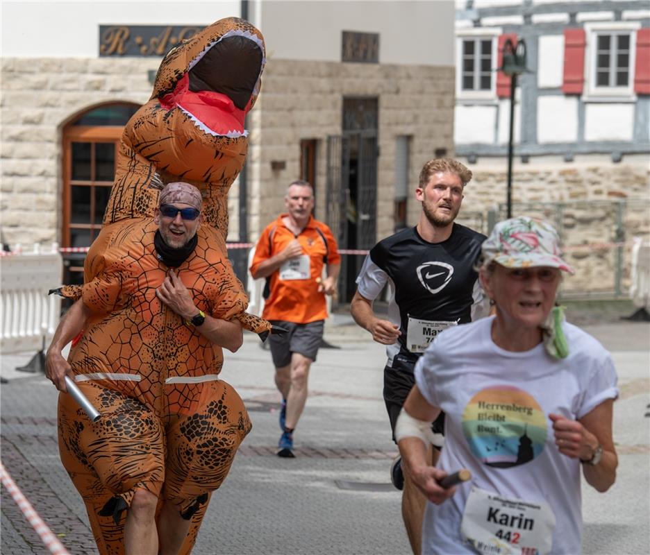 Herrenberg, Innenstadt, Altstadtlauf,  GB-Foto: Vecsey