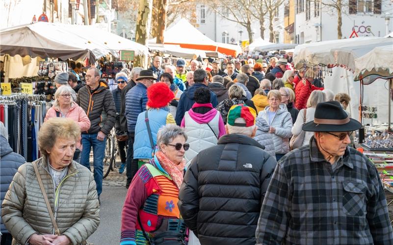 Pferdemarkt, Umzug, Krämermarkt, Kneipenfasching: Bilder vom Fasnetsdienstag in Herrenberg