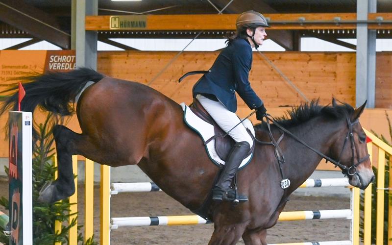 Herrenberg, Reitanlage, Reitturnier, Neujahrsspringen, Julia Müller (Sindlingen) auf Tullibards PinUp, GB-Foto: Vecsey