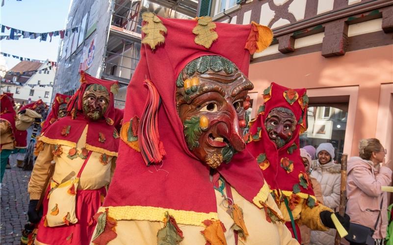 Pferdemarkt, Umzug, Krämermarkt, Kneipenfasching: Bilder vom Fasnetsdienstag in Herrenberg