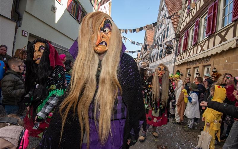 Pferdemarkt, Umzug, Krämermarkt, Kneipenfasching: Bilder vom Fasnetsdienstag in Herrenberg