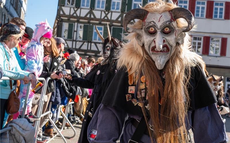 Pferdemarkt, Umzug, Krämermarkt, Kneipenfasching: Bilder vom Fasnetsdienstag in Herrenberg