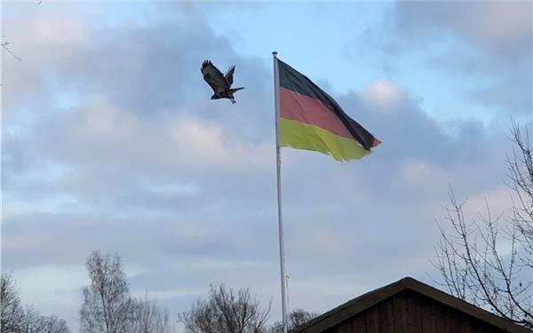 Im Anflug auf Deutschland (gesehen von Cornelia Rinkert aus Herrenberg)