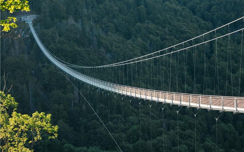 Imposante Spannweite: Die Blackforestline.GB-Foto: Michael Corona