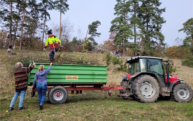 Landschaftspflegetag auf dem Greutäcker durchgeführt