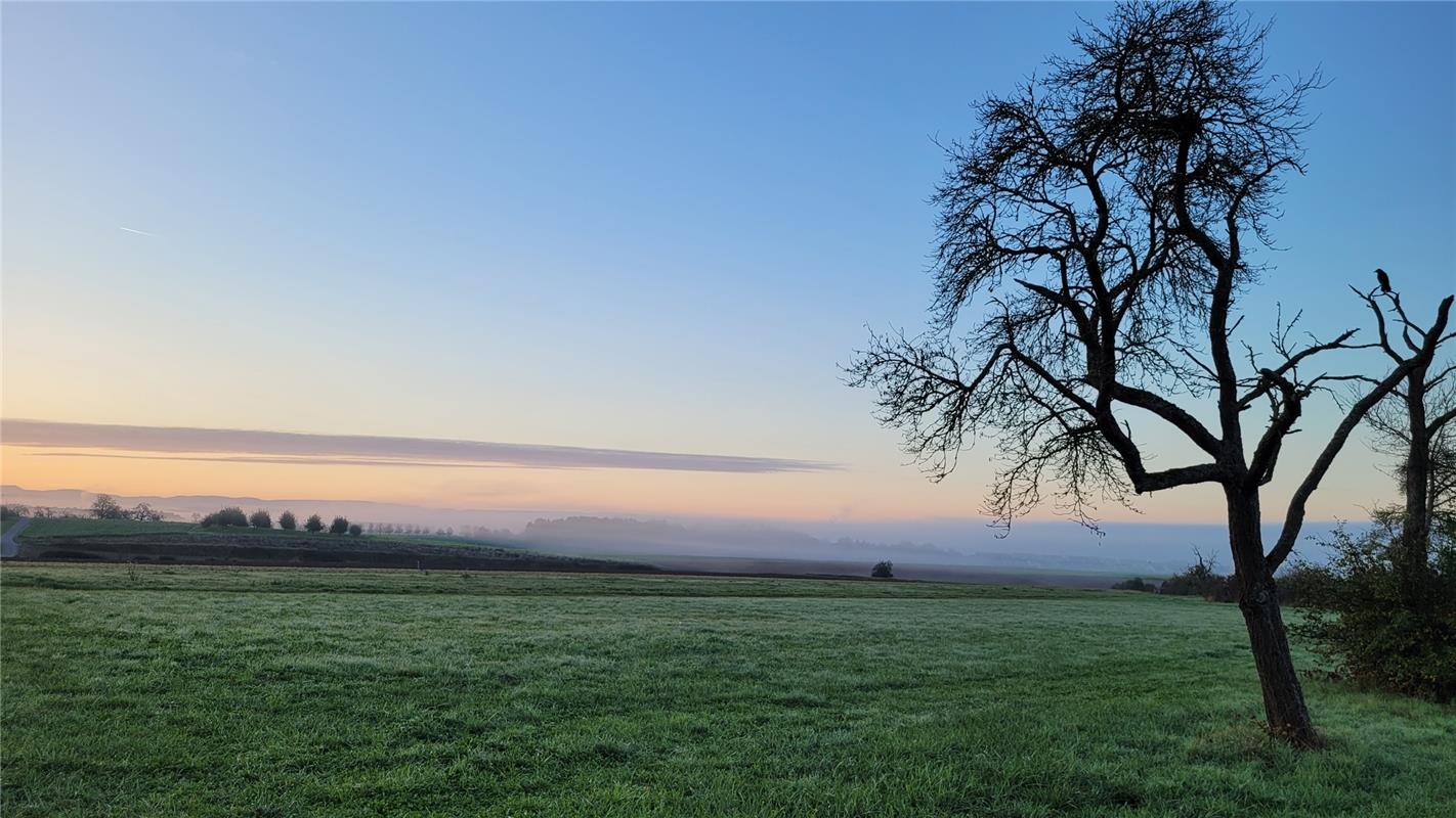 Morgennebel über dem Ammertal.  Von Susanne Marquardt aus Herrenberg.