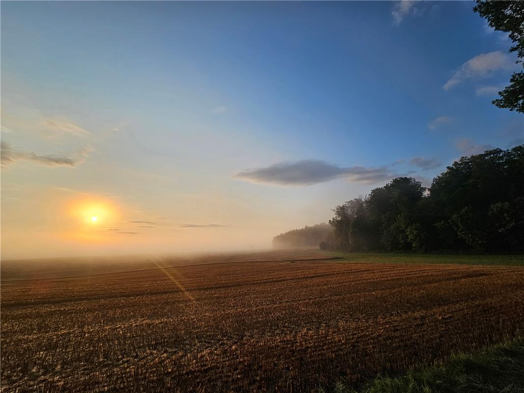 Nebel über Herrenberg, Sonnenaufgang am 3. August.  Von Eva Althoff-Nüßle aus He...