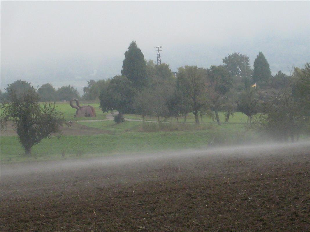 Nebringer neblige Herbstschau.  Von Frank Winter aus Nebringen.