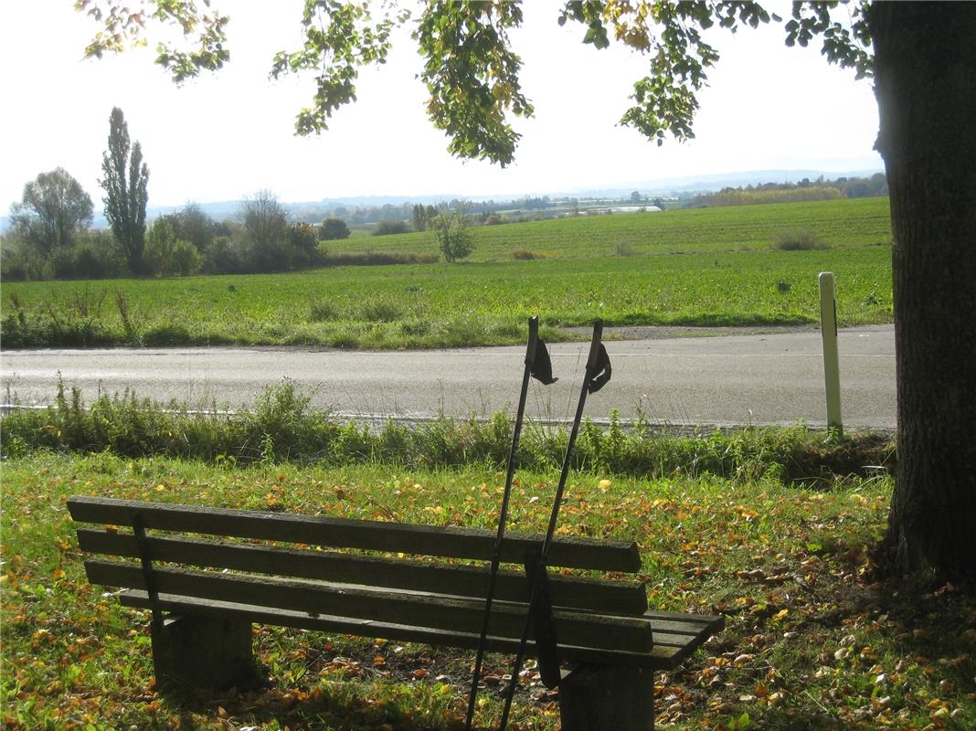 Ruhiger herbstlicher Blick in Richtung Ammertal und Albkette.  Von Frank Winter ...