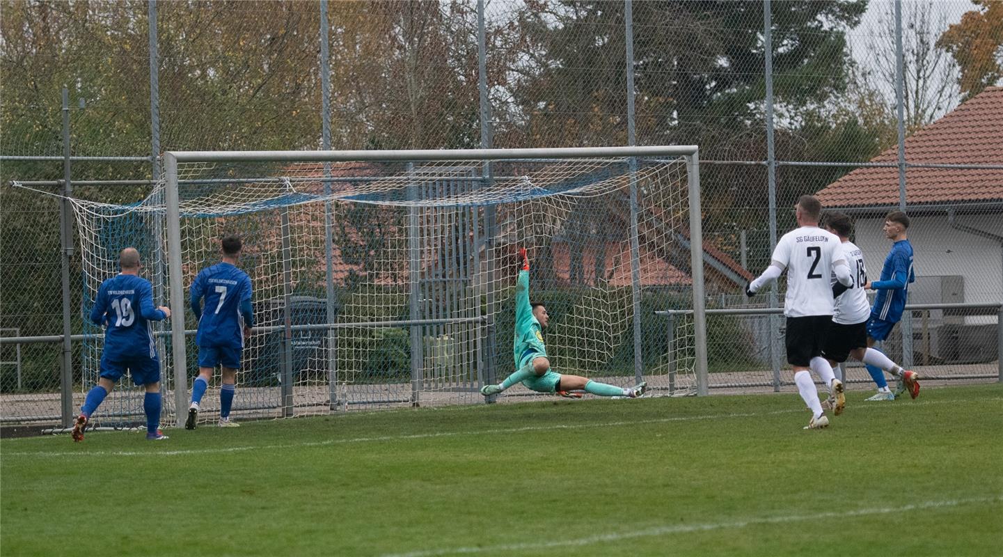 SG Gäufelden - TSV Hildrizhausen 11 / 2024 Foto: Schmidt