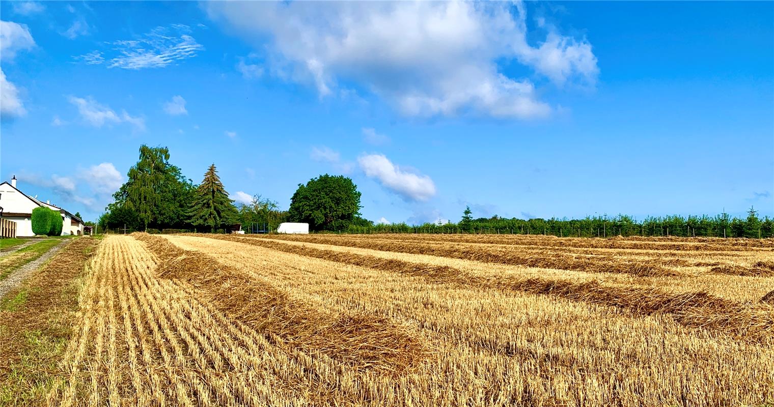 Schönes abgeerntetes Feld direkt im Blick – Vorteil der Feldrandlage.  Von Minja...